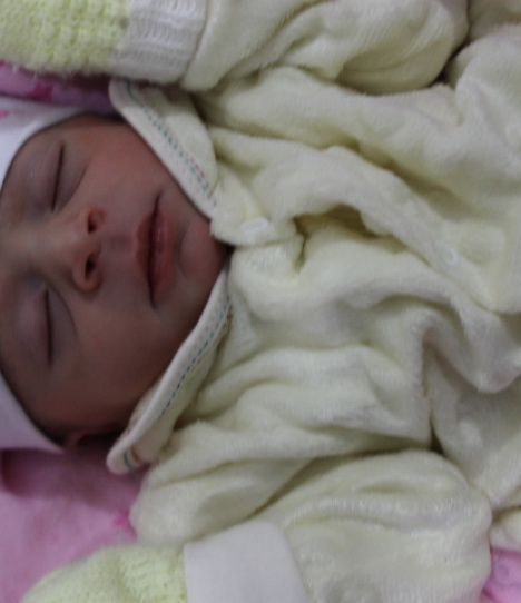 ISADORA GABRIELLY HISTER DA SILVA